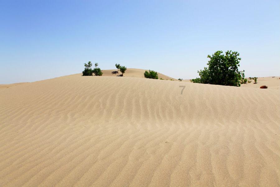 逃离地下古寺庙