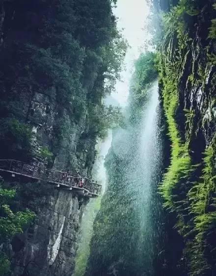 魔法季节沉睡大地